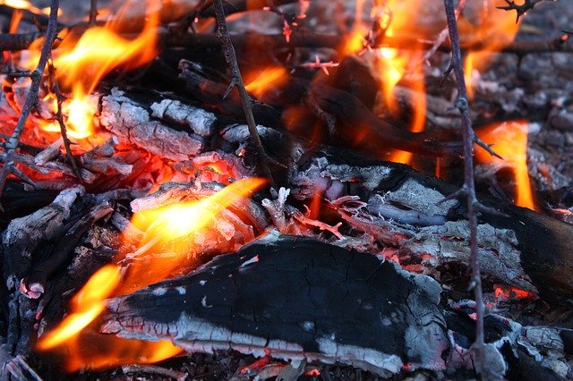 campfire cooking fire coals