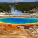 yellowstone national park spring