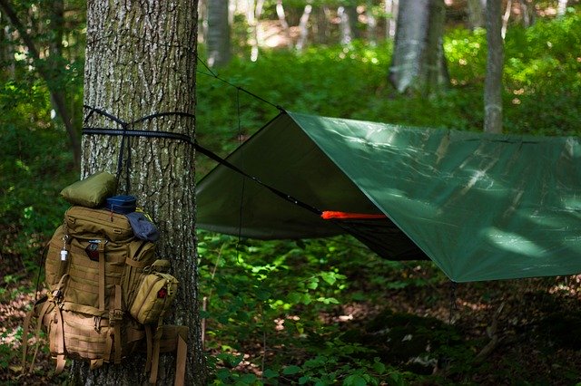 Hammock campsite backcountry camping