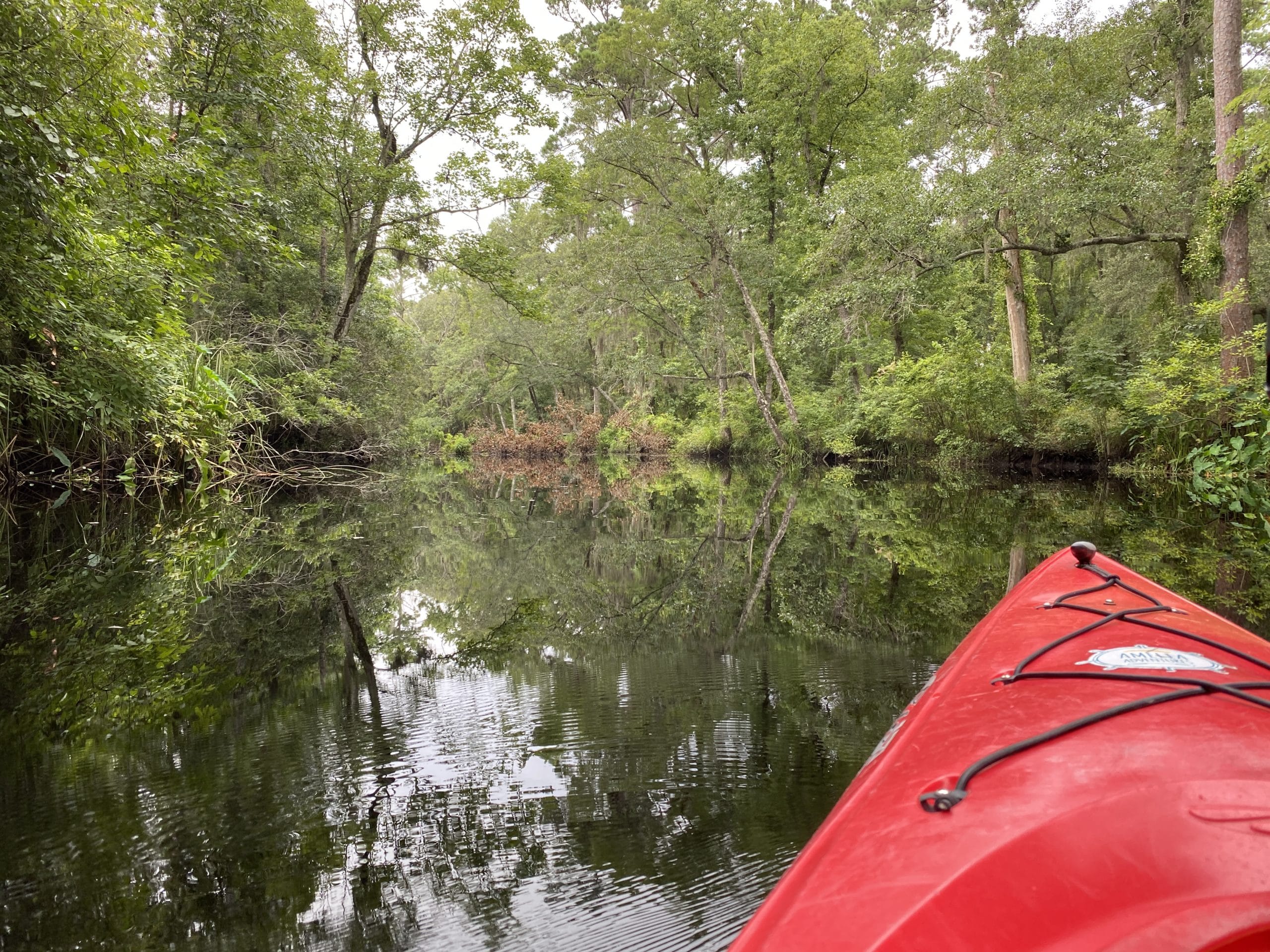 Amelia Island Kayak Rental Lofton Creek