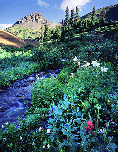 Ouray Colorado Hiking Trail
