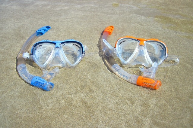 Snorkel Dry Tortugas Snorkeling