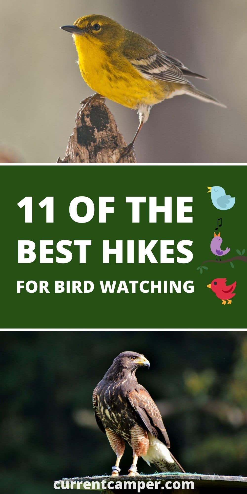 11 of the best hikes for bird watching