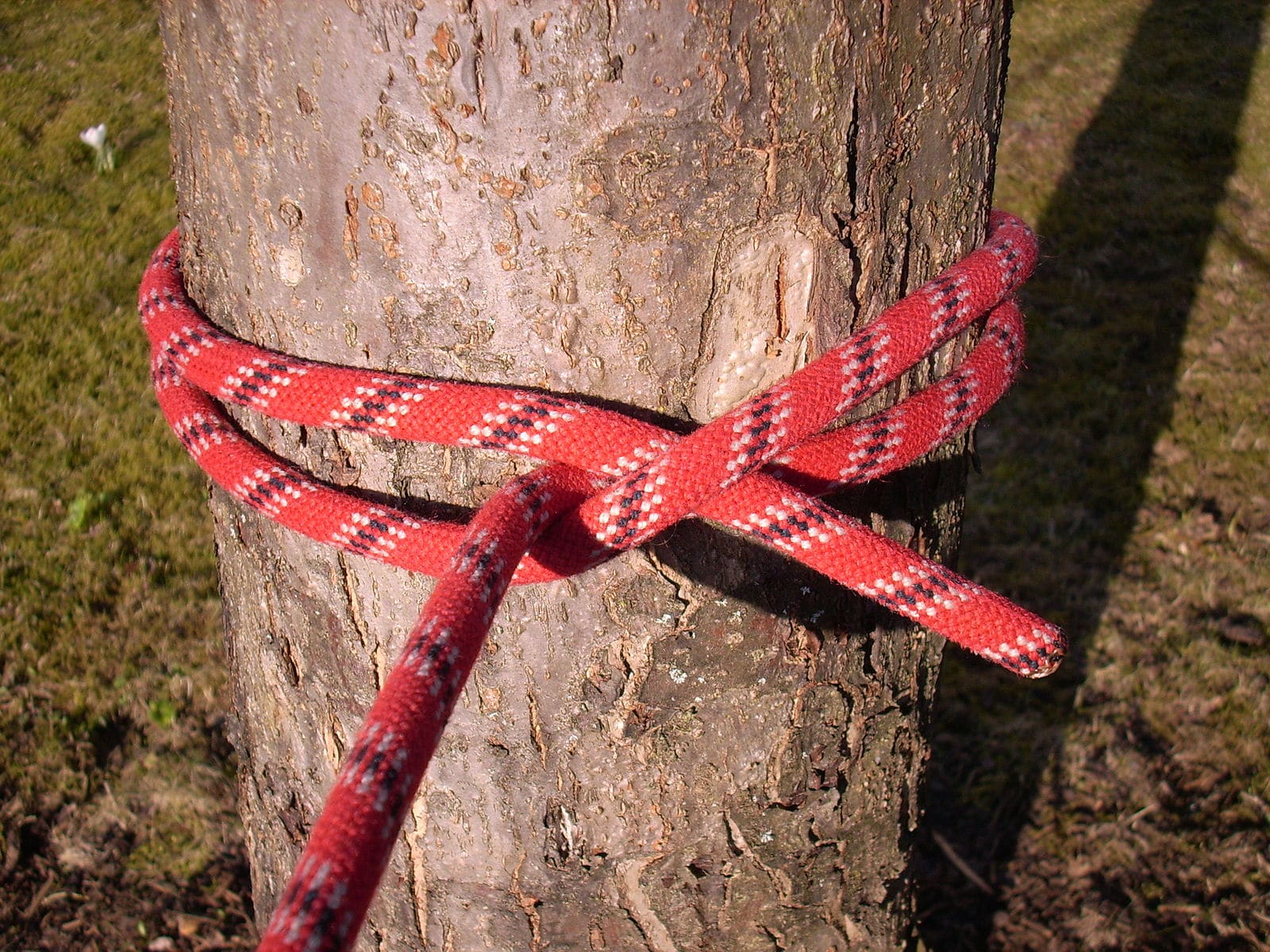 clove hitch knot lost hiking 