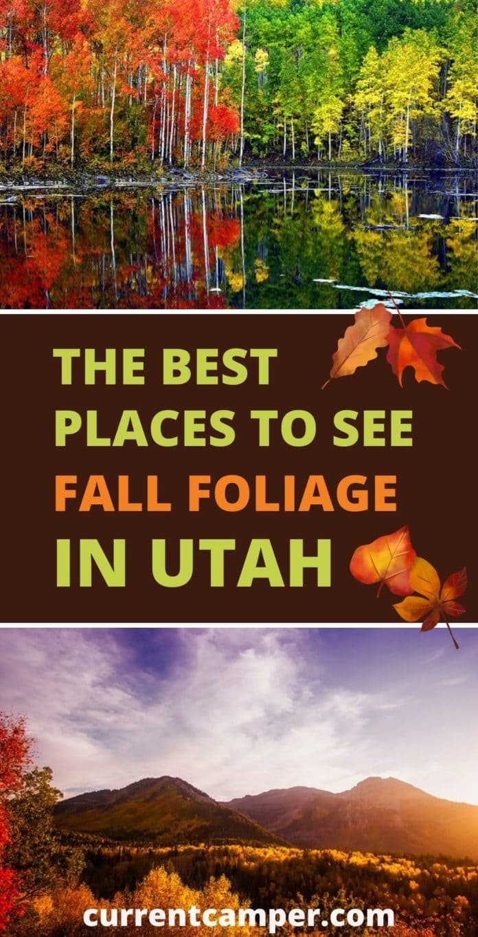 Best Places for Fall Colors in Utah