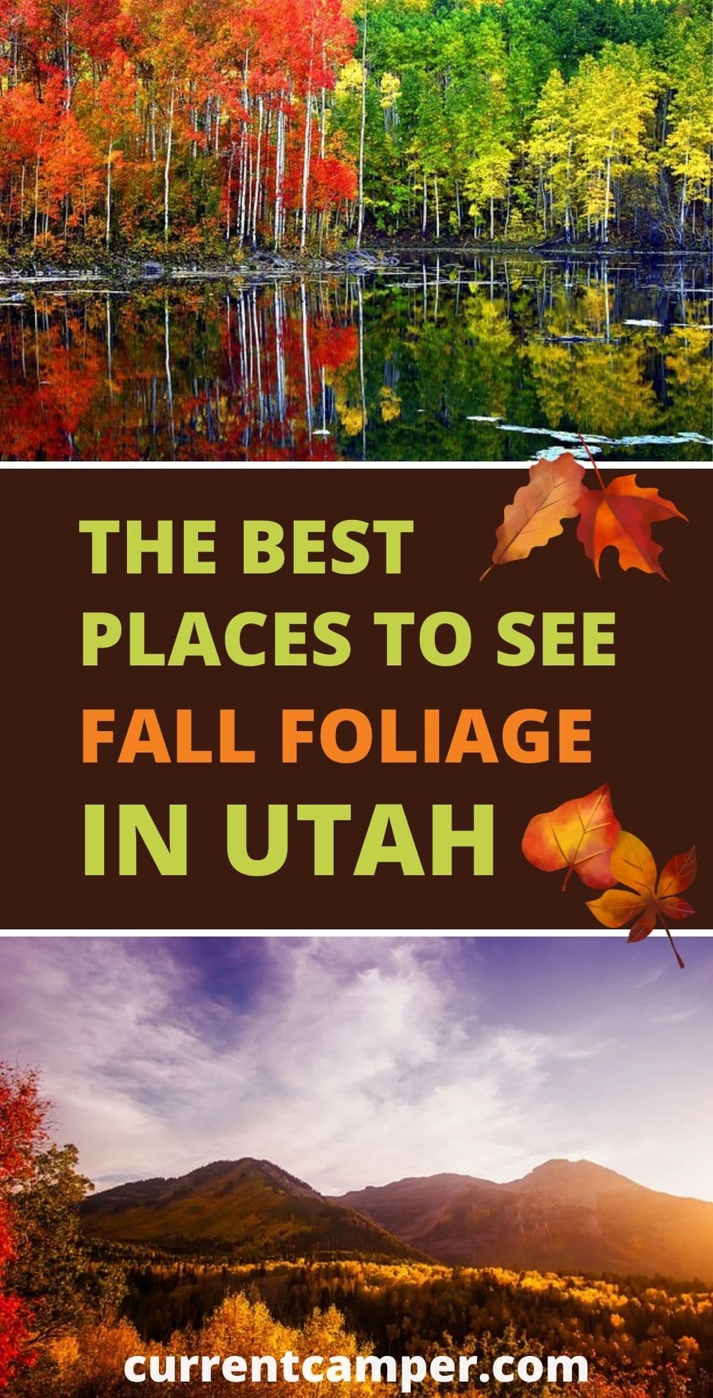 the best places to see fall foliage in utah