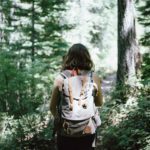 hiker hiking backpack woods forest pixabay