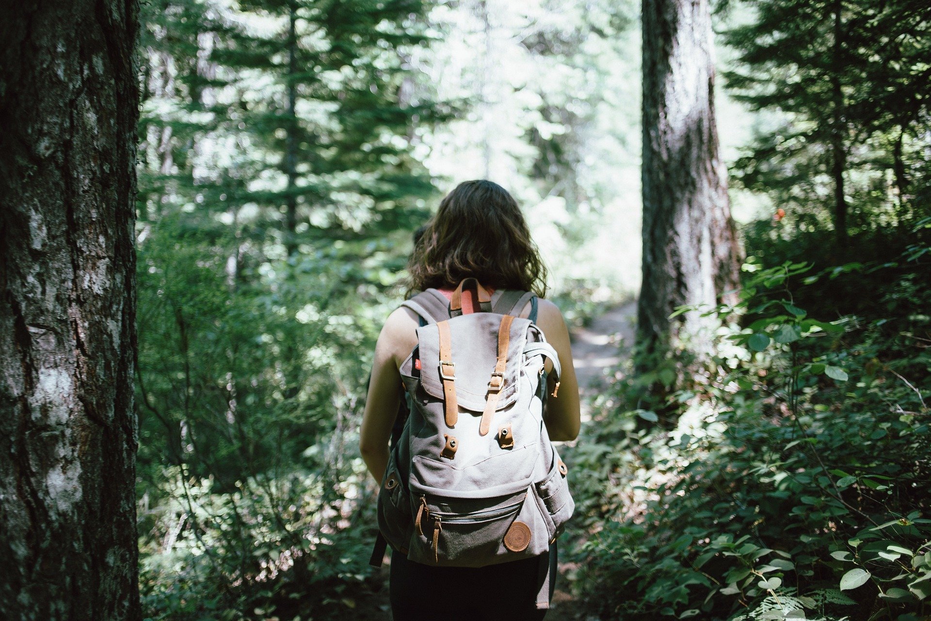 hiker hiking backpack woods forest 