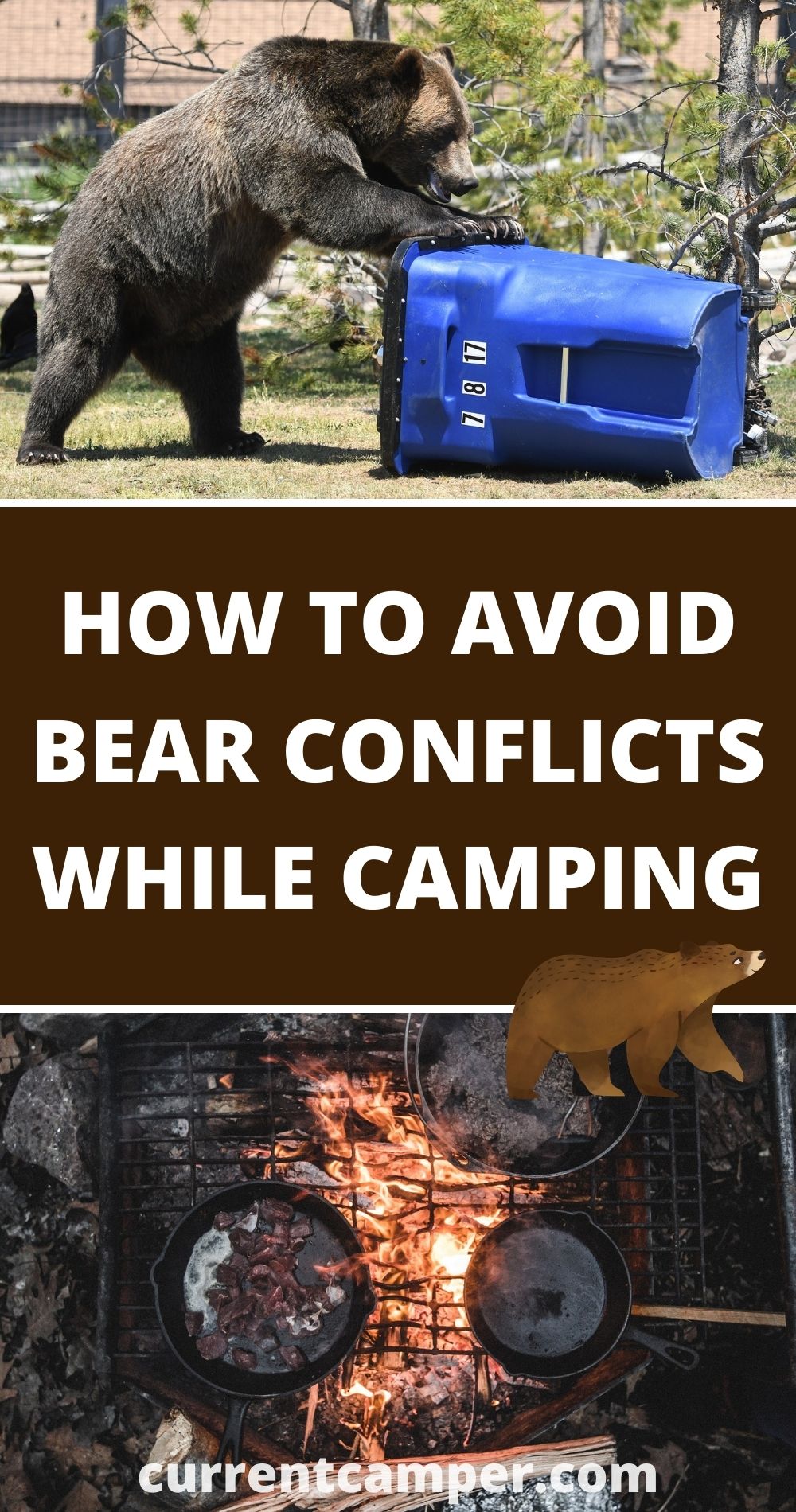 how to avoid bear conflicts while camping