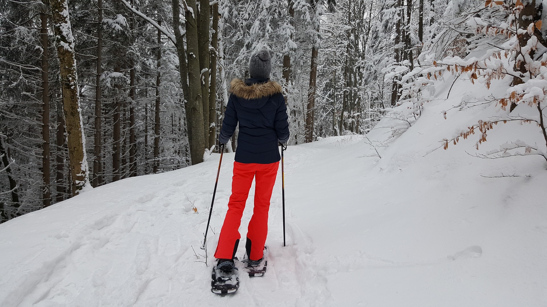 snowshoes winter hike