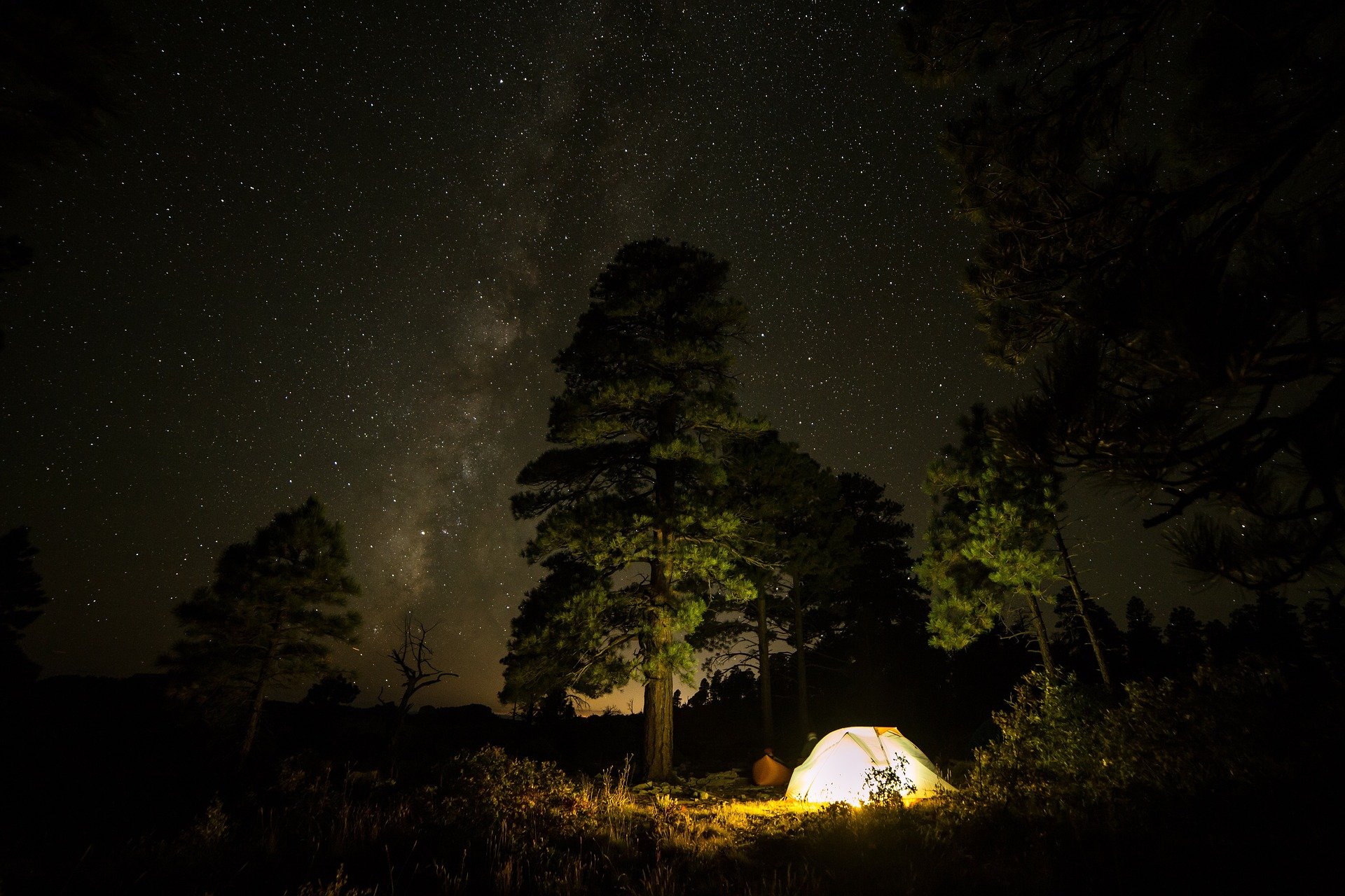 camping tent woods stars 