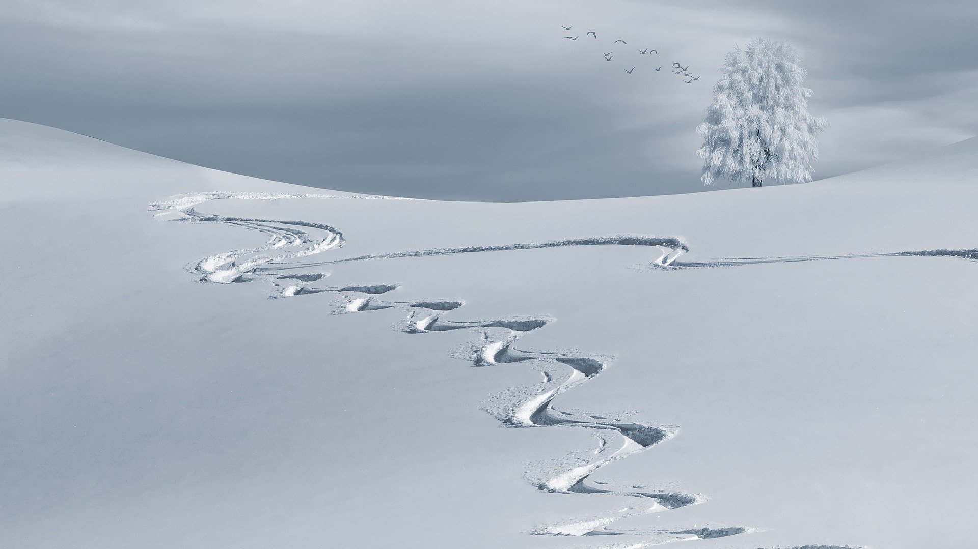 backcountry skiing hiking