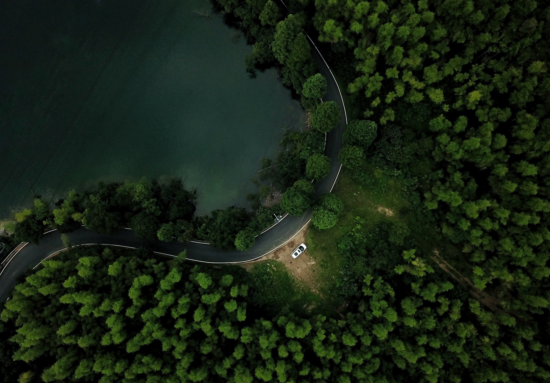 forest trees vehicle road 