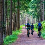 forest mountain biking trail pixabay