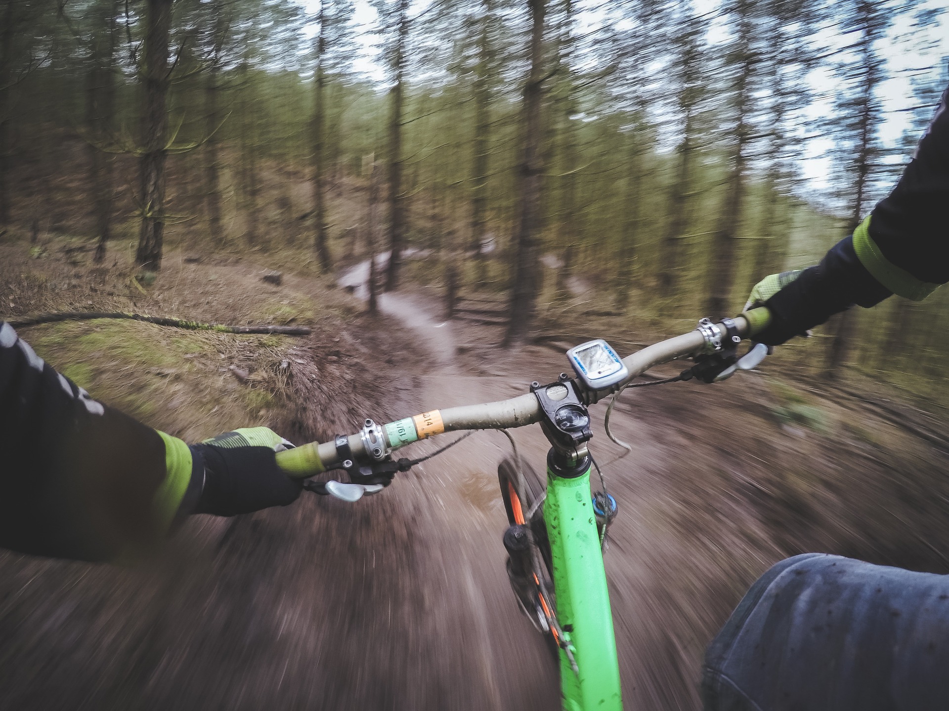 mountain biking trail woods pixabay