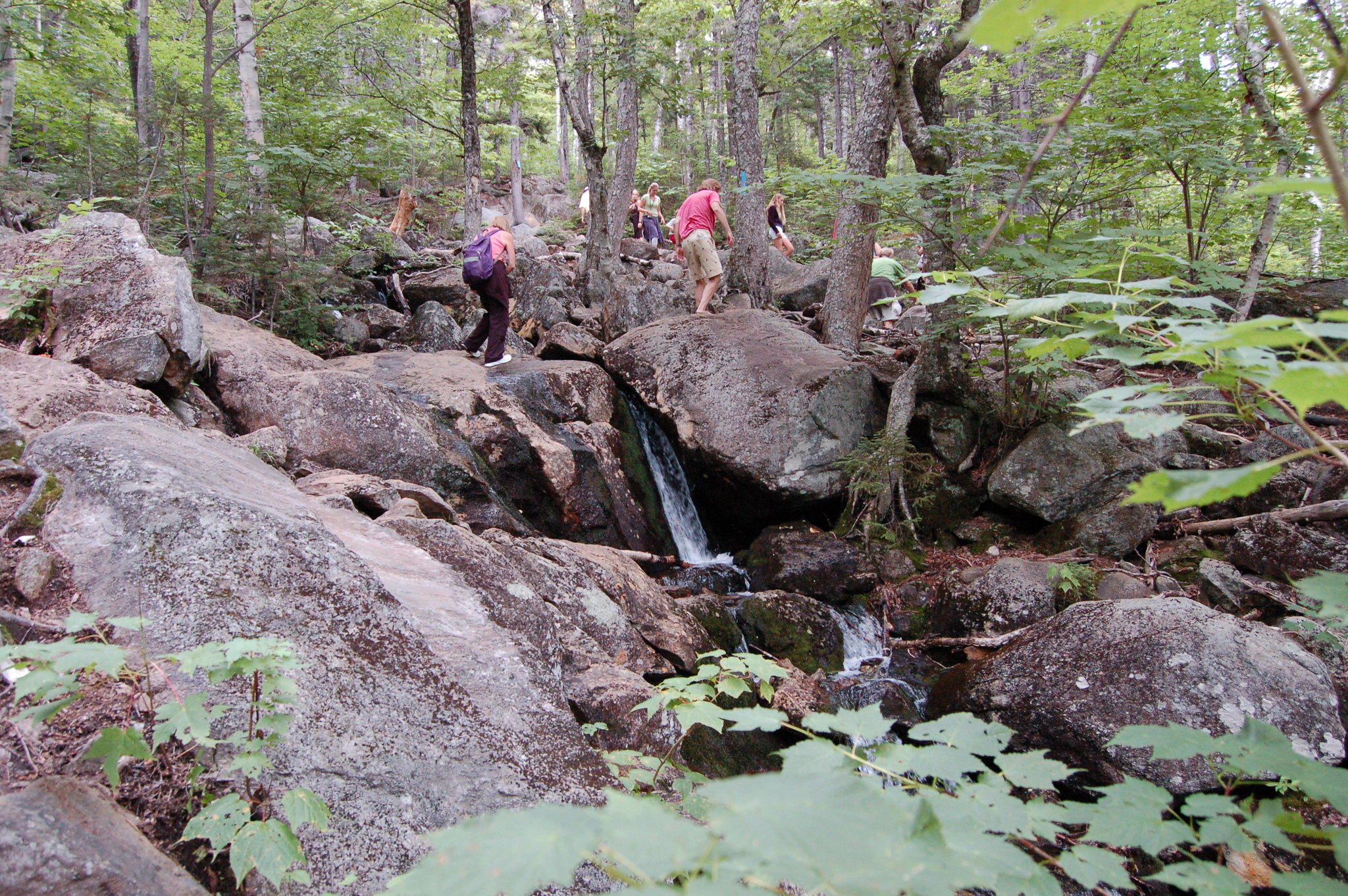 tumbledown brook trail mount blue state park maine