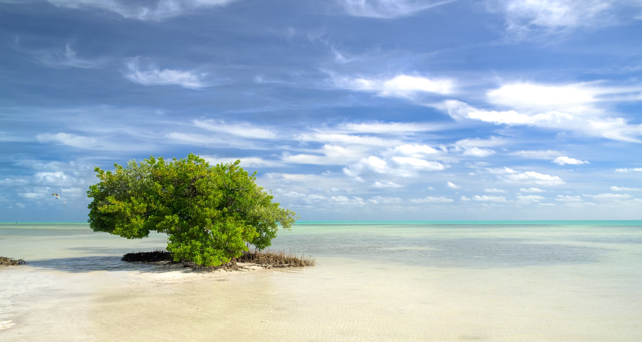 anne's beach florida keys flickr