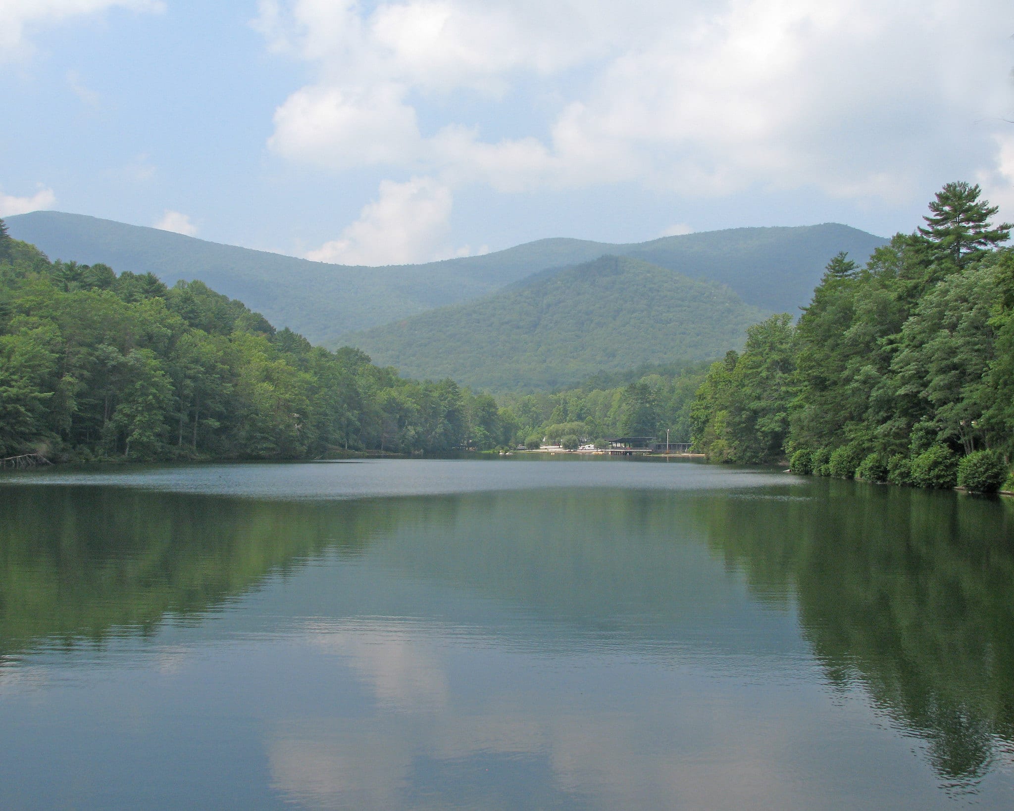 Vogel State Park