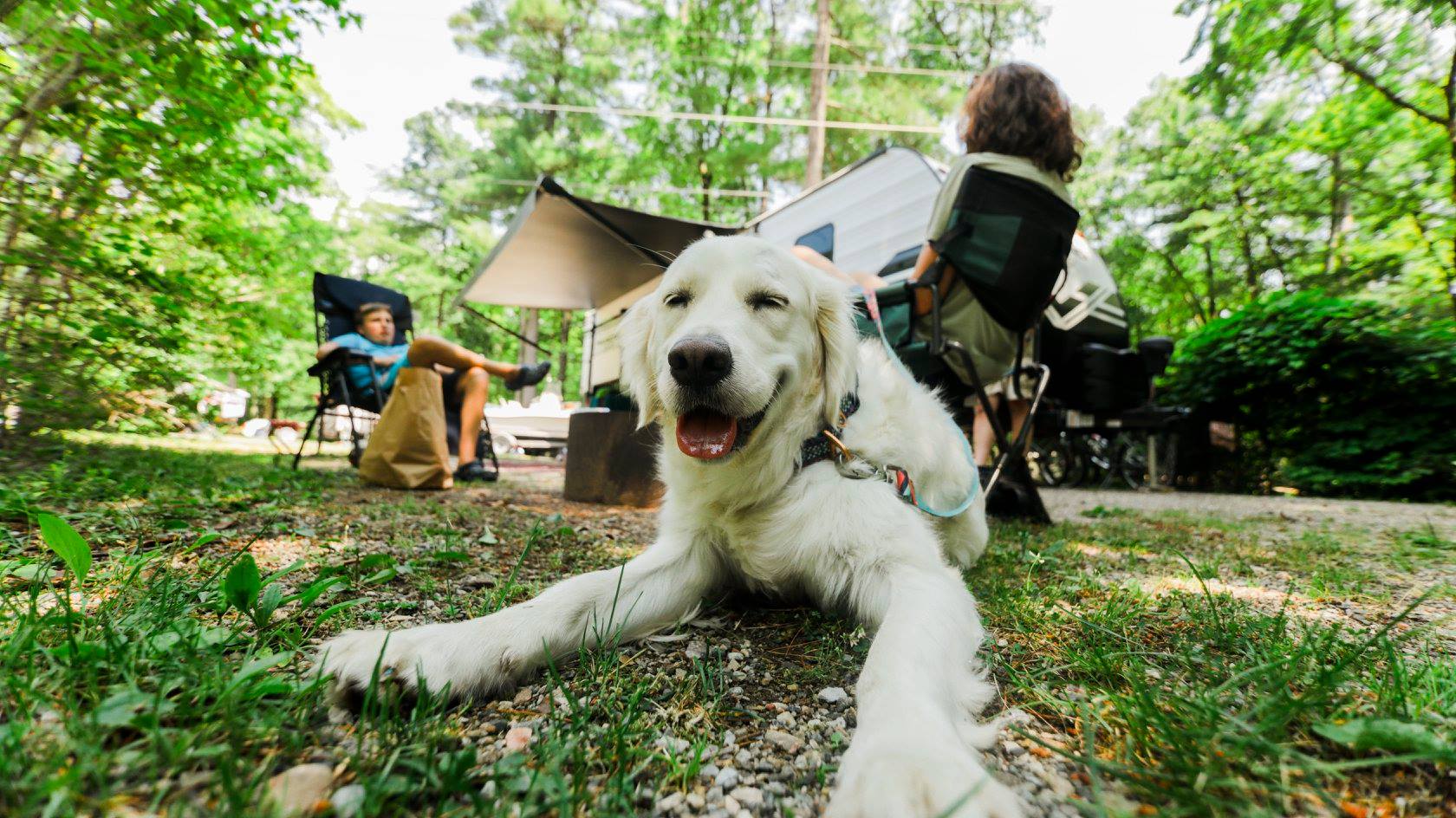 lake george rv park dog