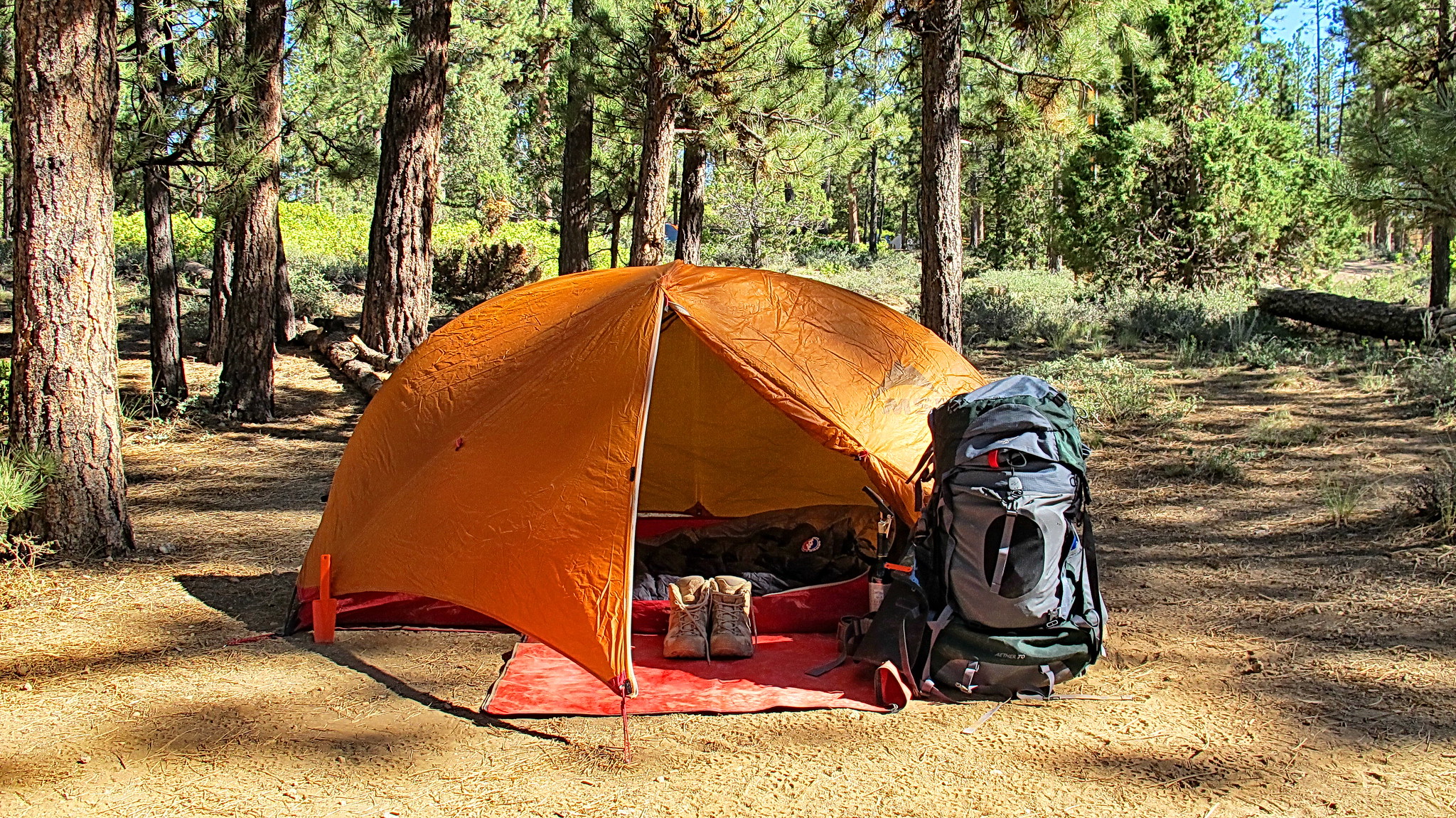 Включи camping