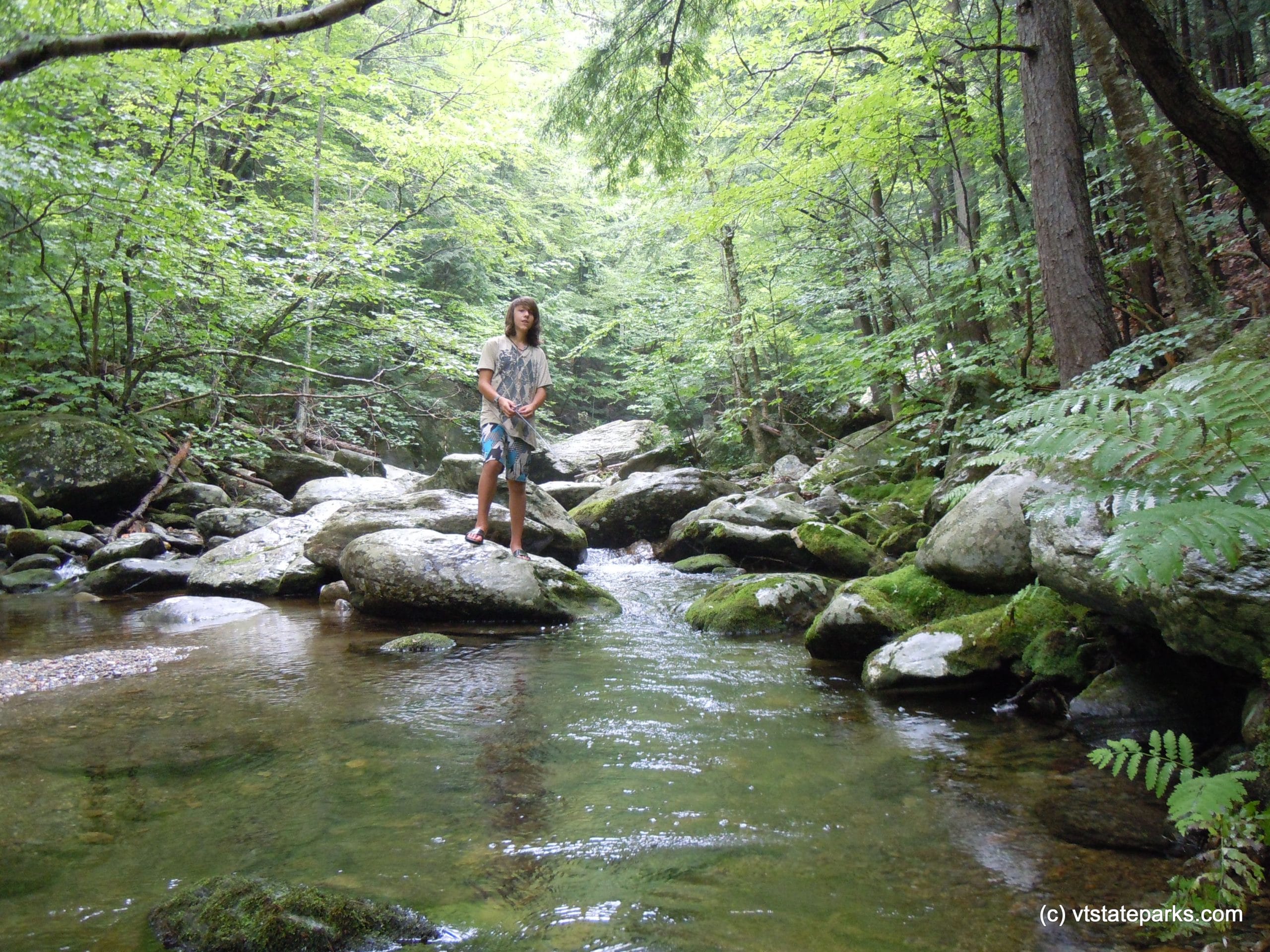 cobb brook jamaica state park