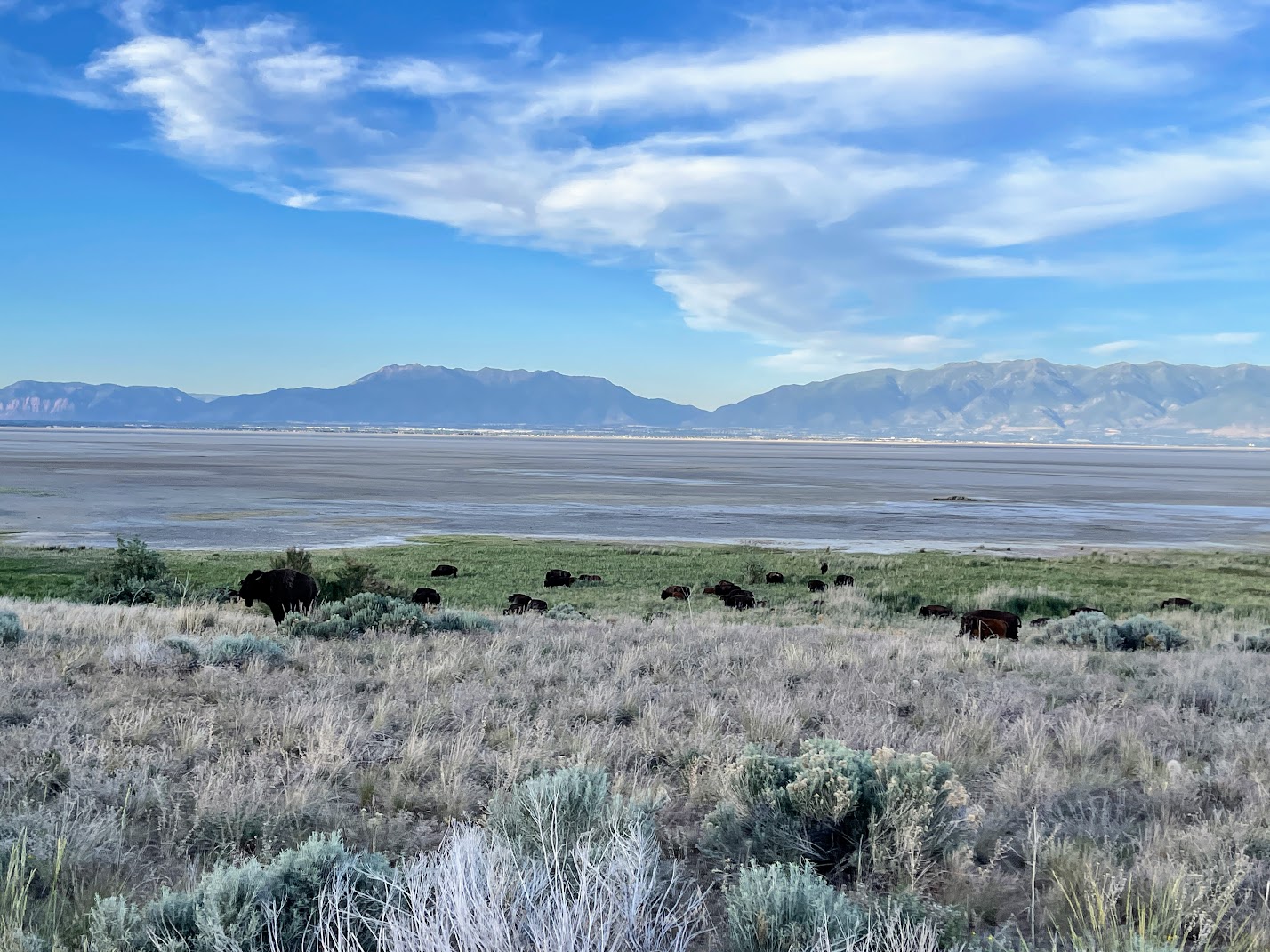 Antelope Island State Park