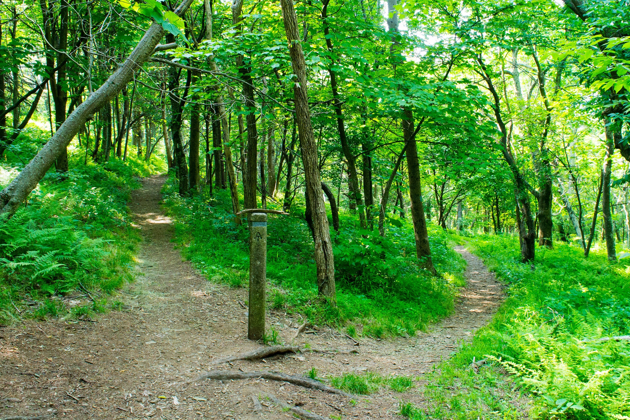 shenandoah national park appalachian trail