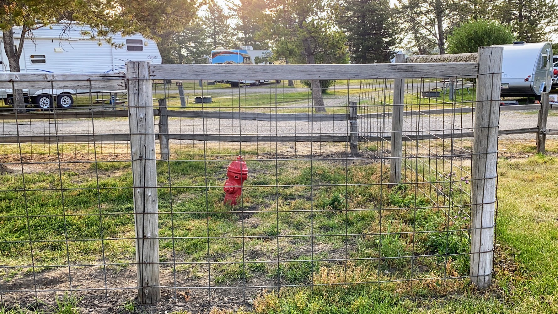 yellowstone fire hydrant camping