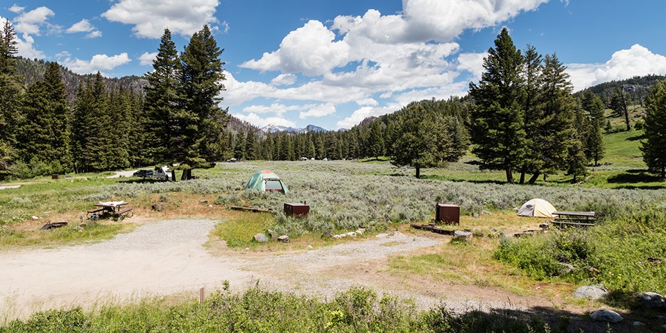 slough creek campground yellowstone