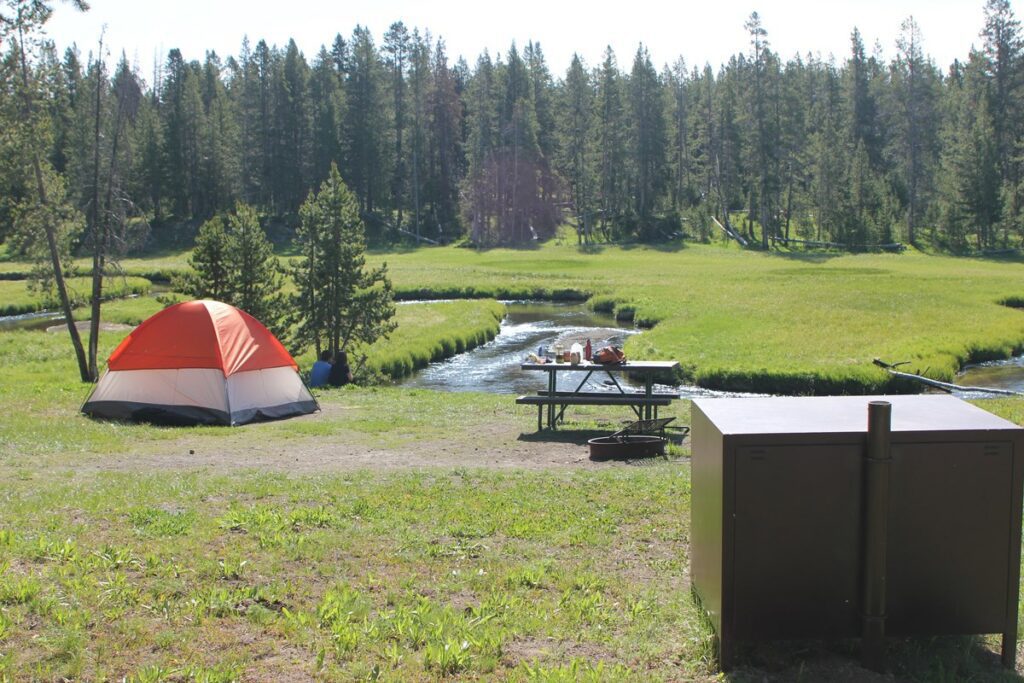 camping tent creek trees