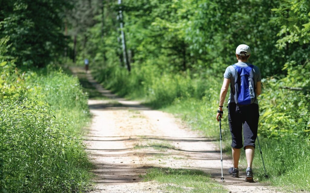 trecking poles hiking