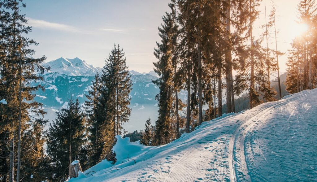 backcountry skiing hiking snow